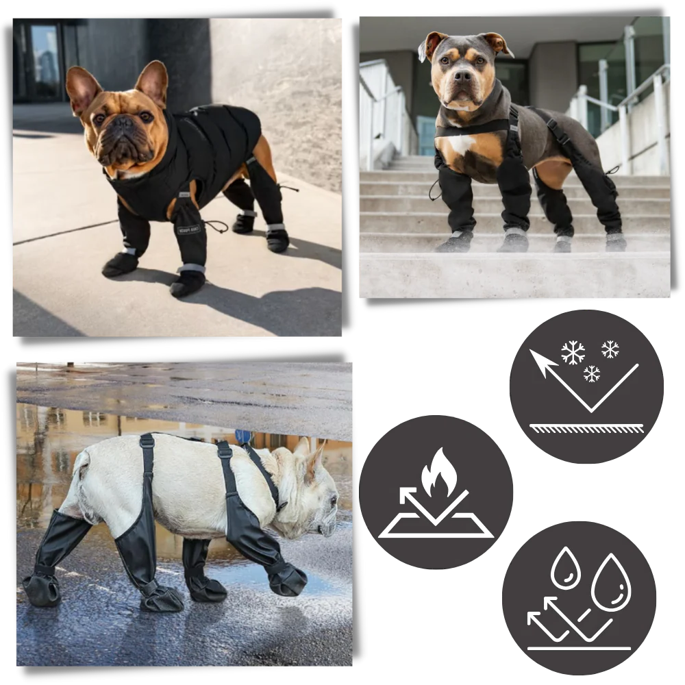 All-Weather Dog Support Boots with Adjustable Fit