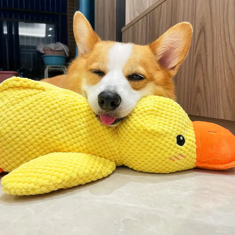 Soothing Tough Quacker Toy