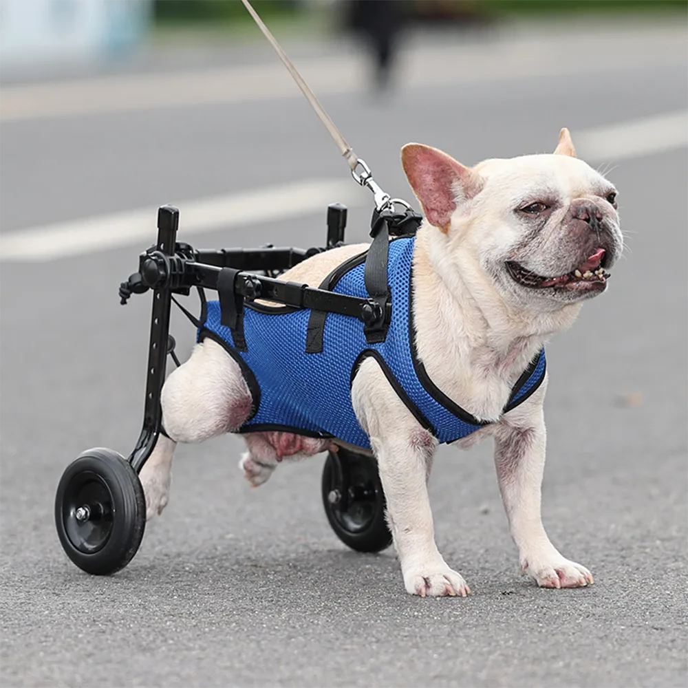Adjustable Pet Mobility Aid for Disabled Dogs and Cats