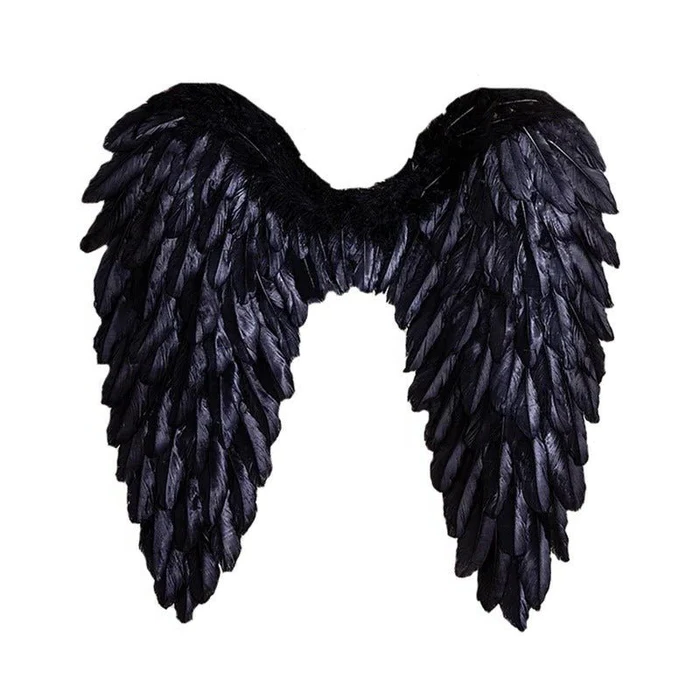 Heavenly Feathered Wings – Perfect for Costume Events