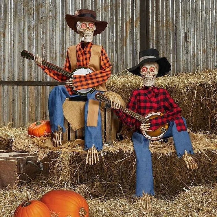 Whimsical Animated Banjo Playing Skeleton Duo