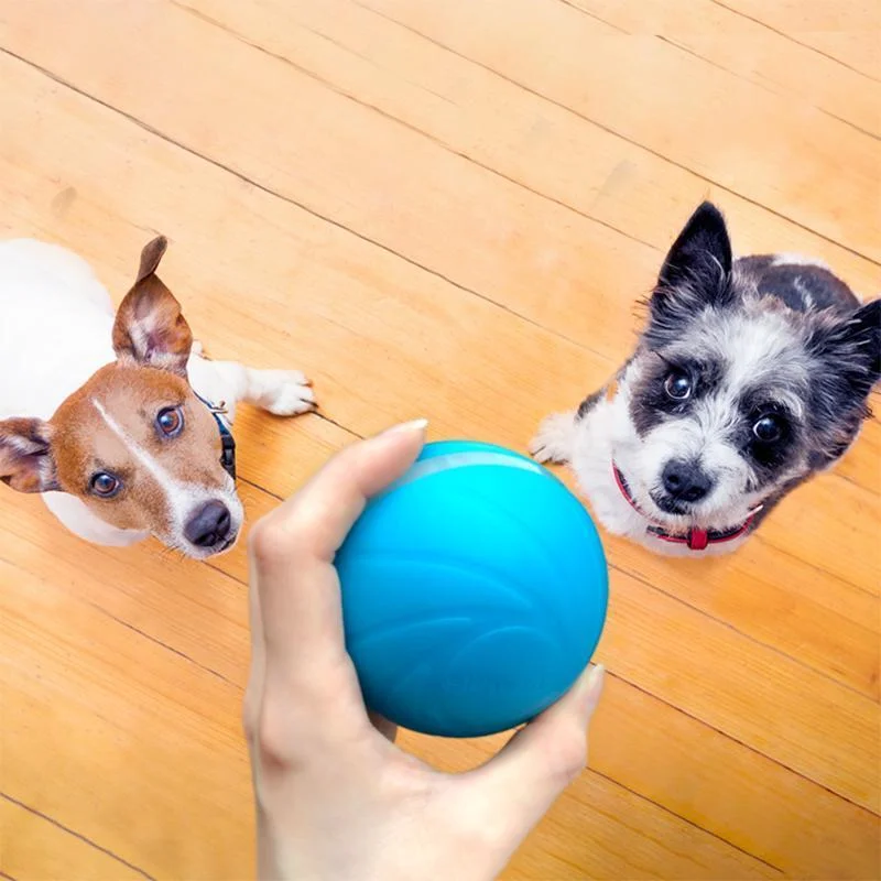 Interactive Pet Play Sphere for Endless Fun
