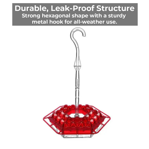 Weather-Resistant Hummingbird Feeder with 30 Nectar Ports