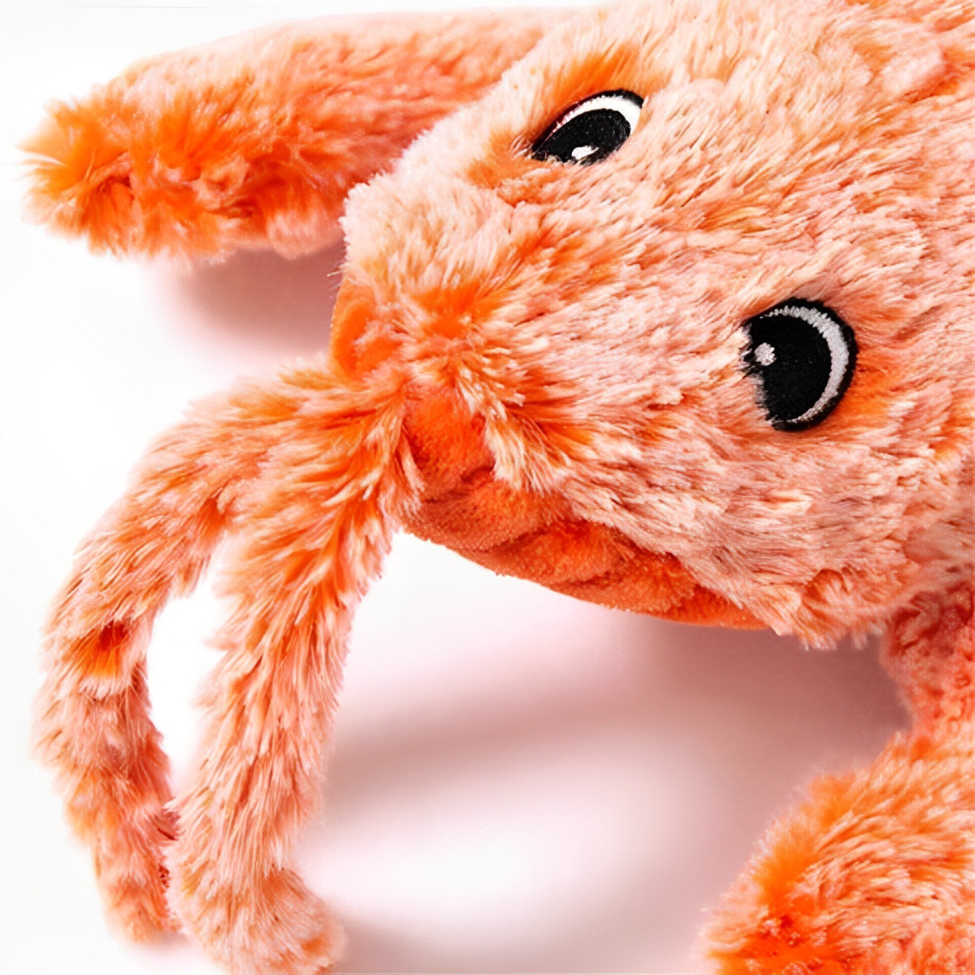Lively Lobster Engaging Pet Toy