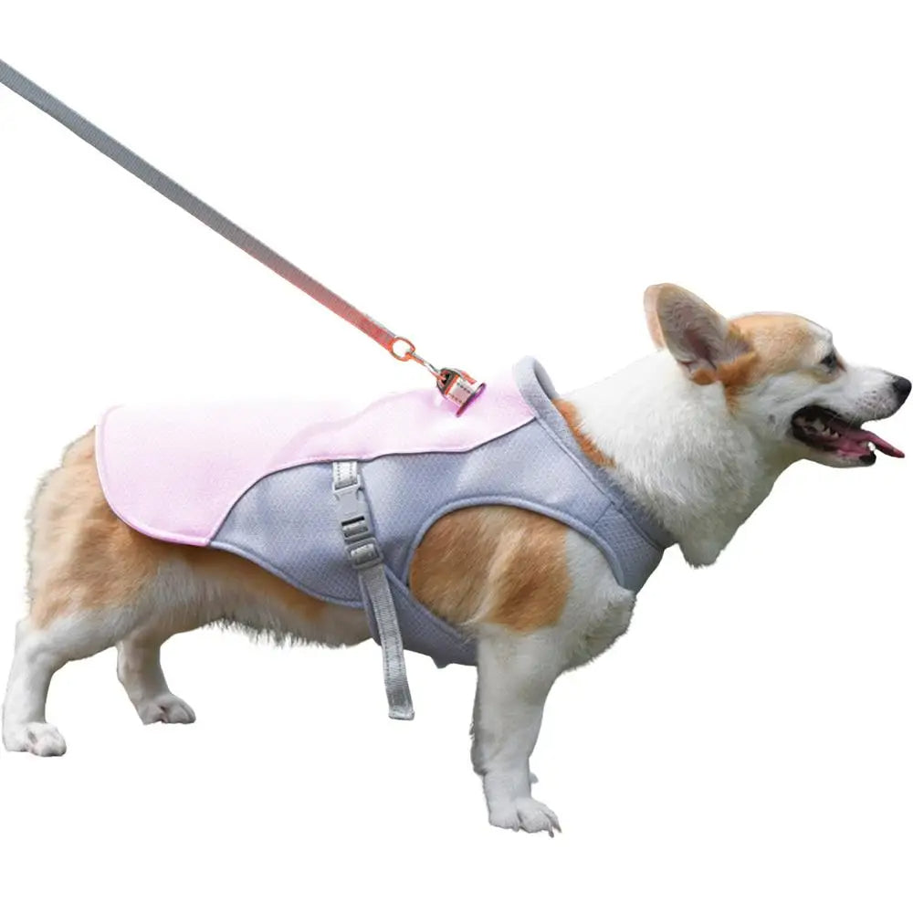 Cooling Jacket for Dogs - Perfect for Summer Adventures