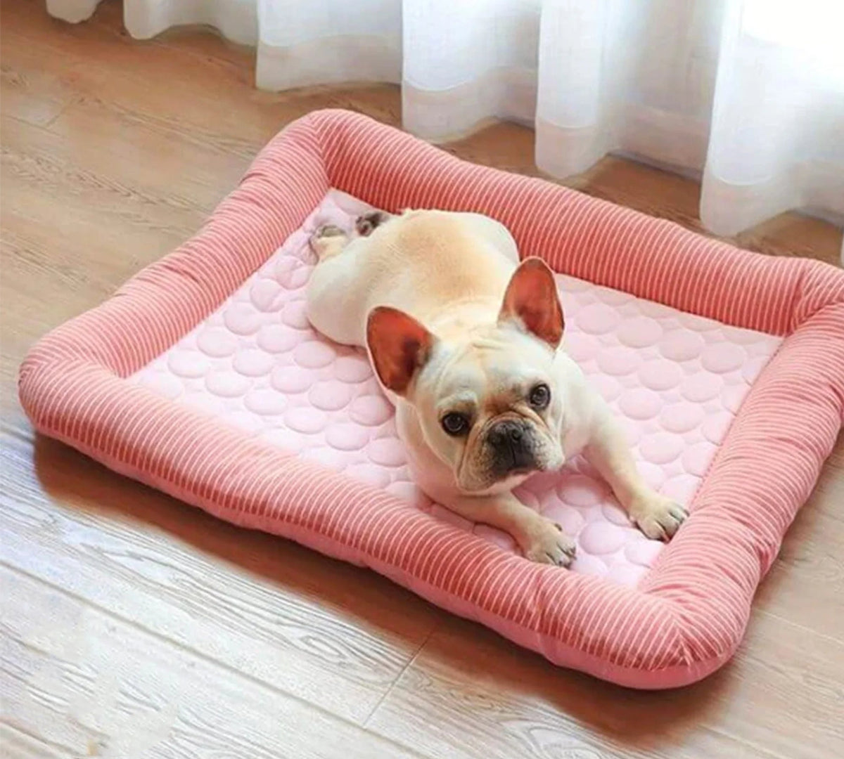 ChillPaws Cooling Pet Bed with Breathable Fabric