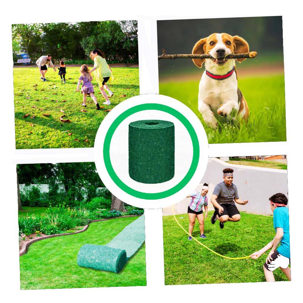 Rapid Green Lawn Seed Roll for Lush Growth