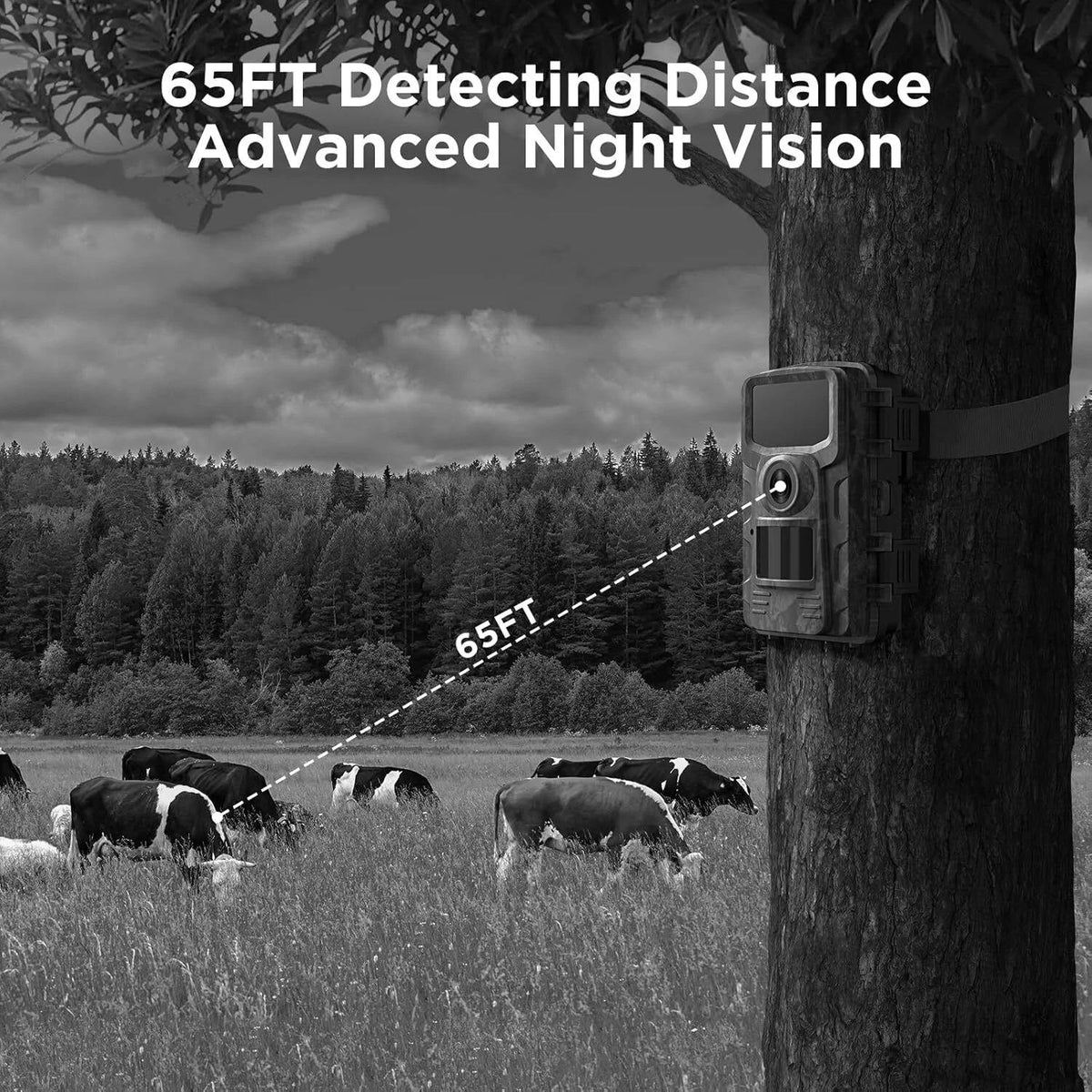 Capture Nature's Secrets with the StealthView Wildlife Camera