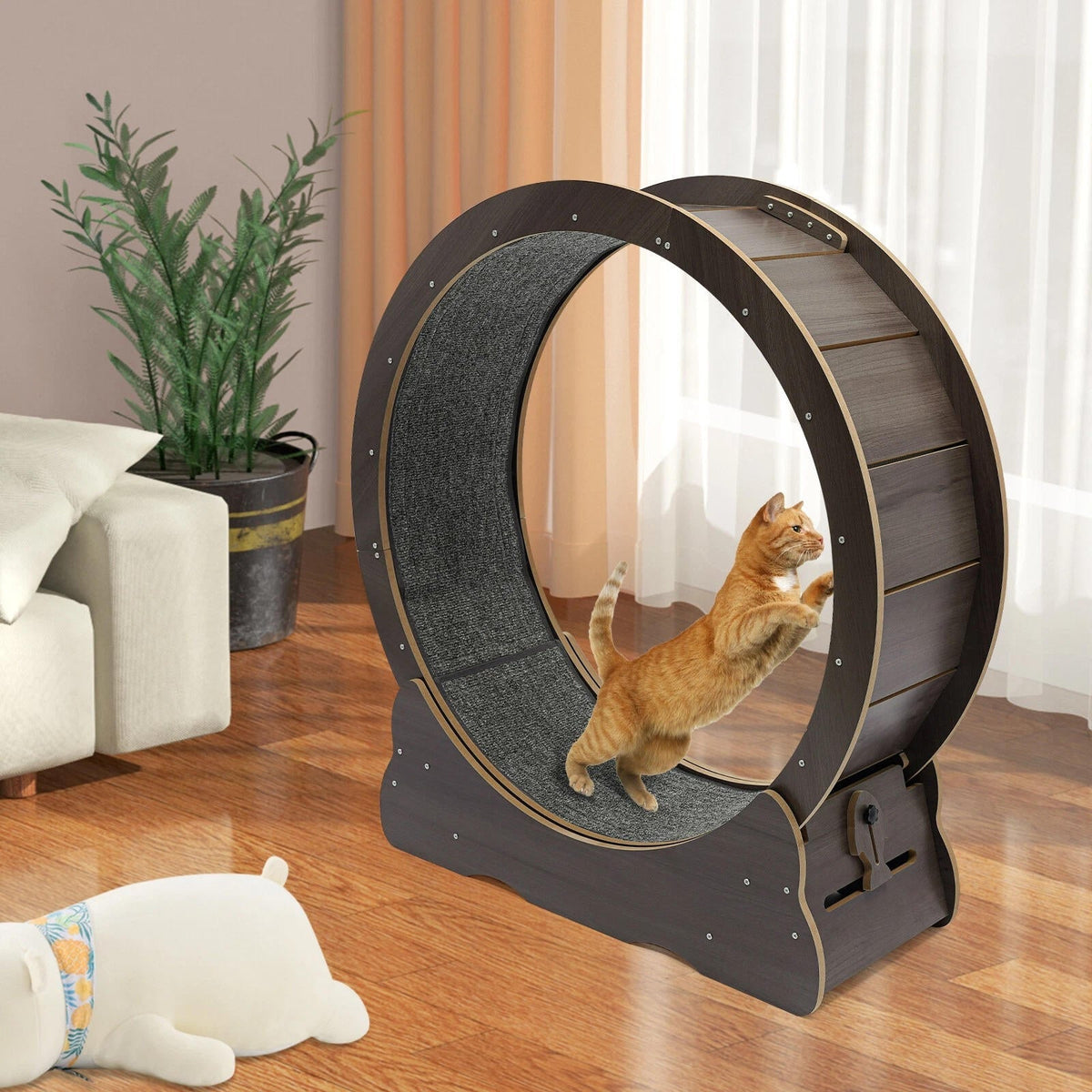 Purrfect Motion Cat Fitness Wheel