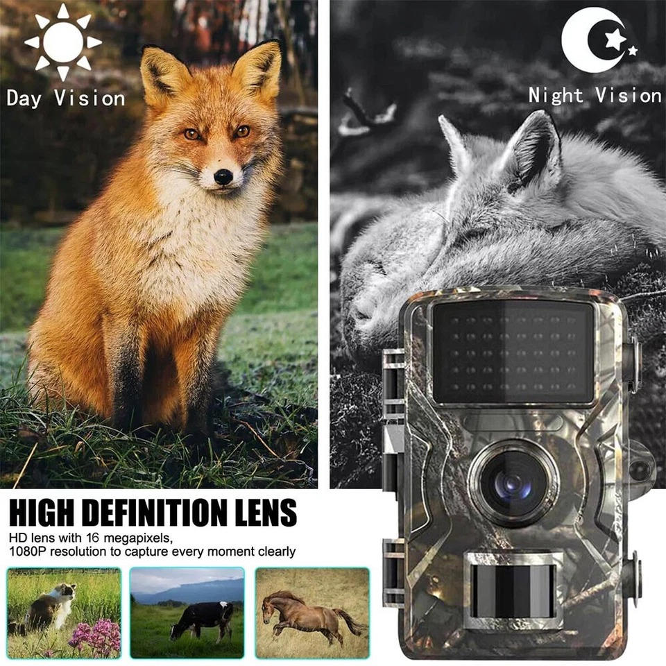 Capture Nature's Secrets with the StealthView Wildlife Camera