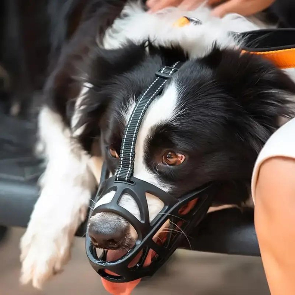 Canine Comfort Muzzle – Adjustable Mesh Design for Easy Breathing