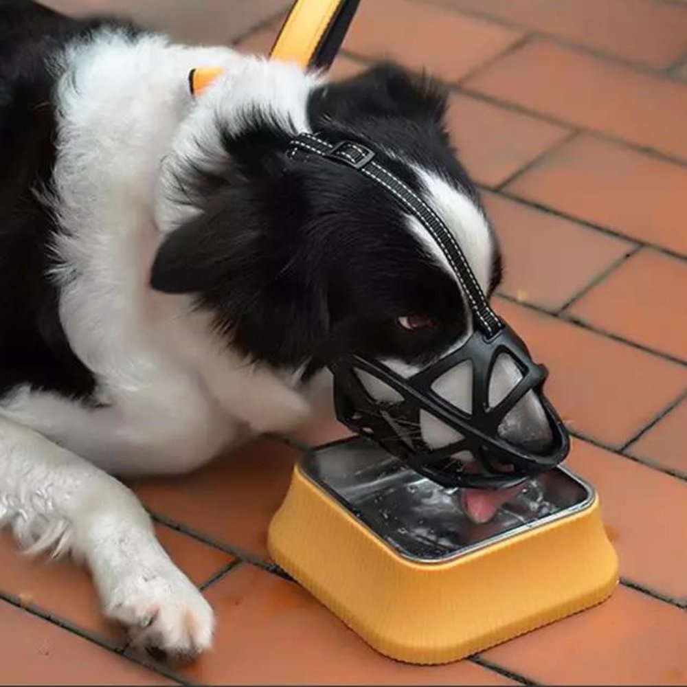 Canine Comfort Muzzle – Adjustable Mesh Design for Easy Breathing
