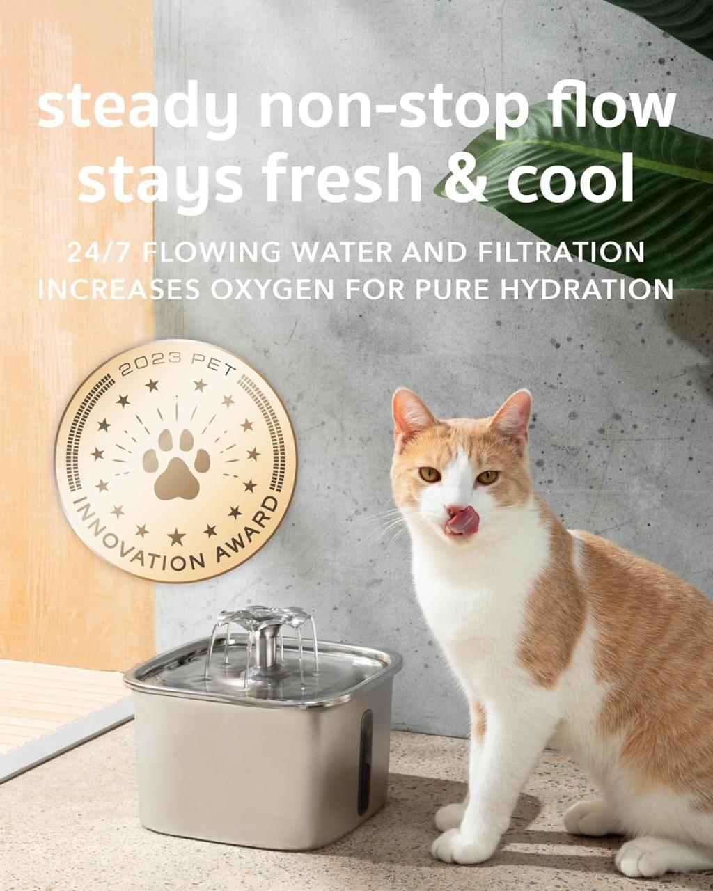Reliable Steel Cat Hydration Station