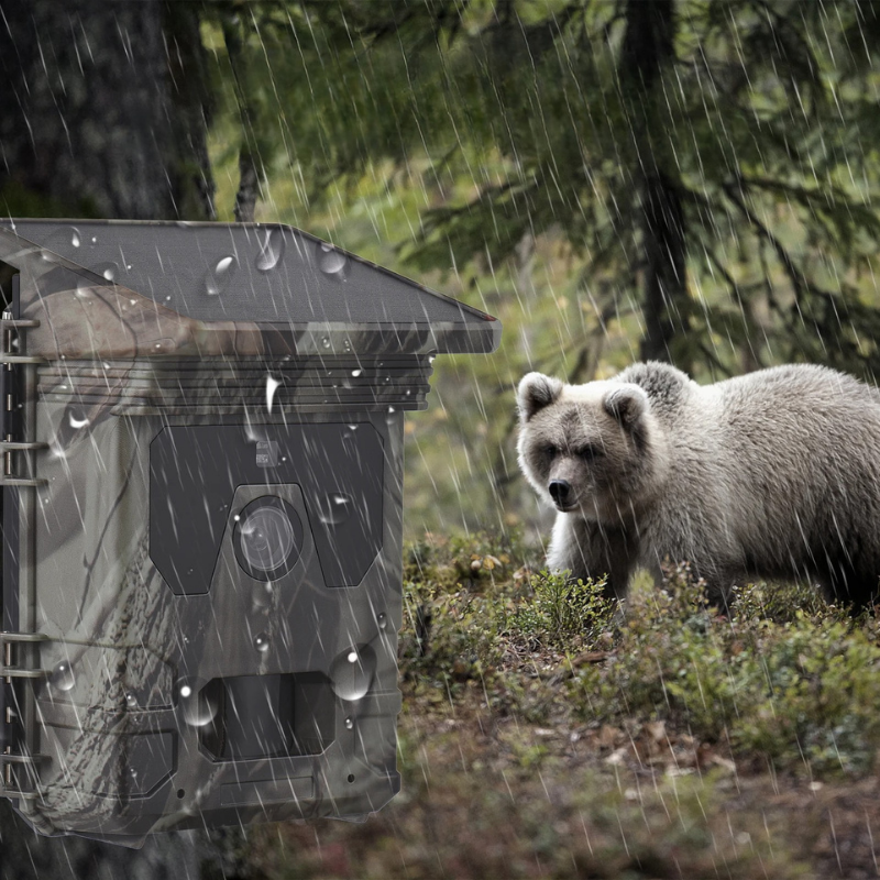Eco-Friendly Solar Night Vision Wildlife Camera