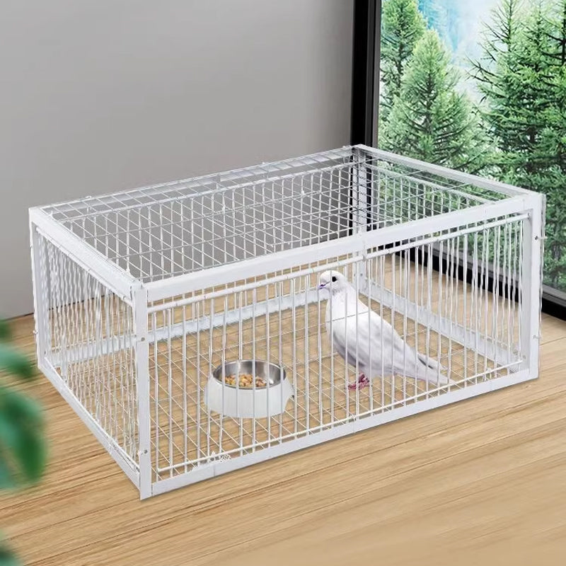 Humane Bird Trap with Anti-Backlash Feature – Safe for Wildlife