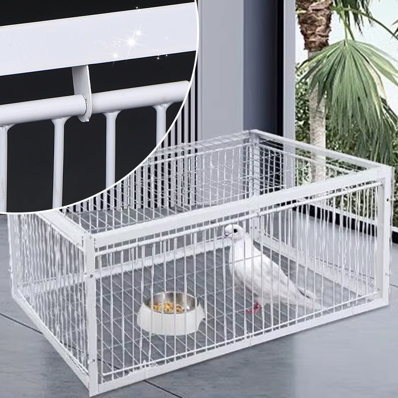 Humane Bird Trap with Anti-Backlash Feature – Safe for Wildlife