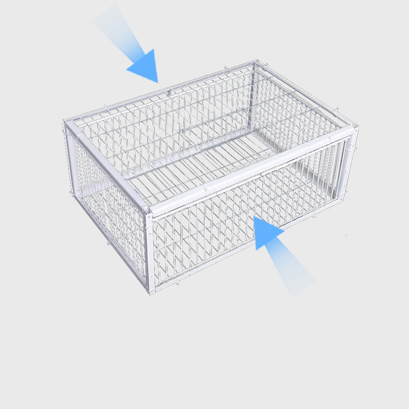 Humane Bird Trap with Anti-Backlash Feature – Safe for Wildlife