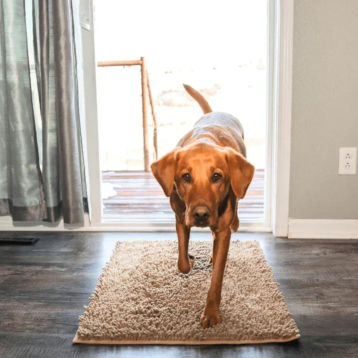 Absorbent Dog Floor Mat for Easy Cleanup – Paw Protection