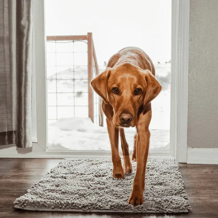 Absorbent Dog Floor Mat for Easy Cleanup – Paw Protection