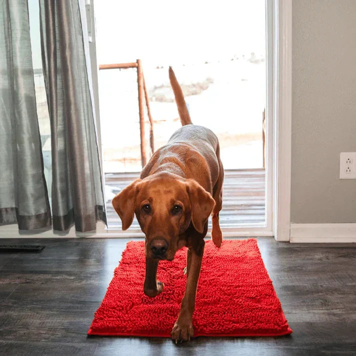 Absorbent Dog Floor Mat for Easy Cleanup – Paw Protection