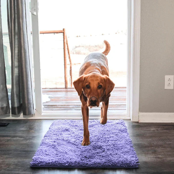 Absorbent Dog Floor Mat for Easy Cleanup – Paw Protection