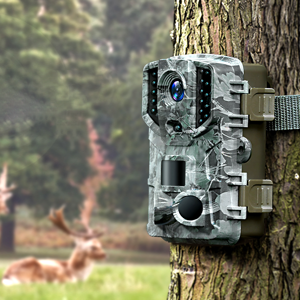 High-Definition Wireless Wildlife Monitoring Camera with Night Vision