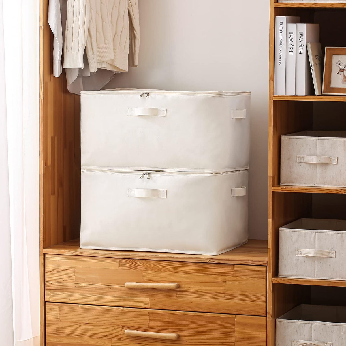Storage Organizer Set for Clothes – Double-Zip Bag with Handles and Window