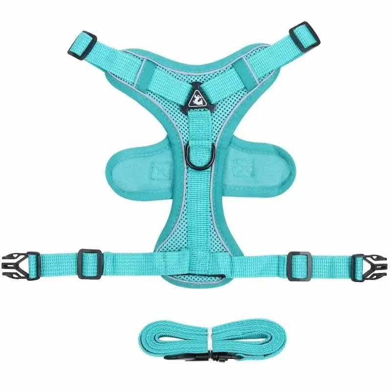PawGuard – Ergonomic Y-Design Cat Harness