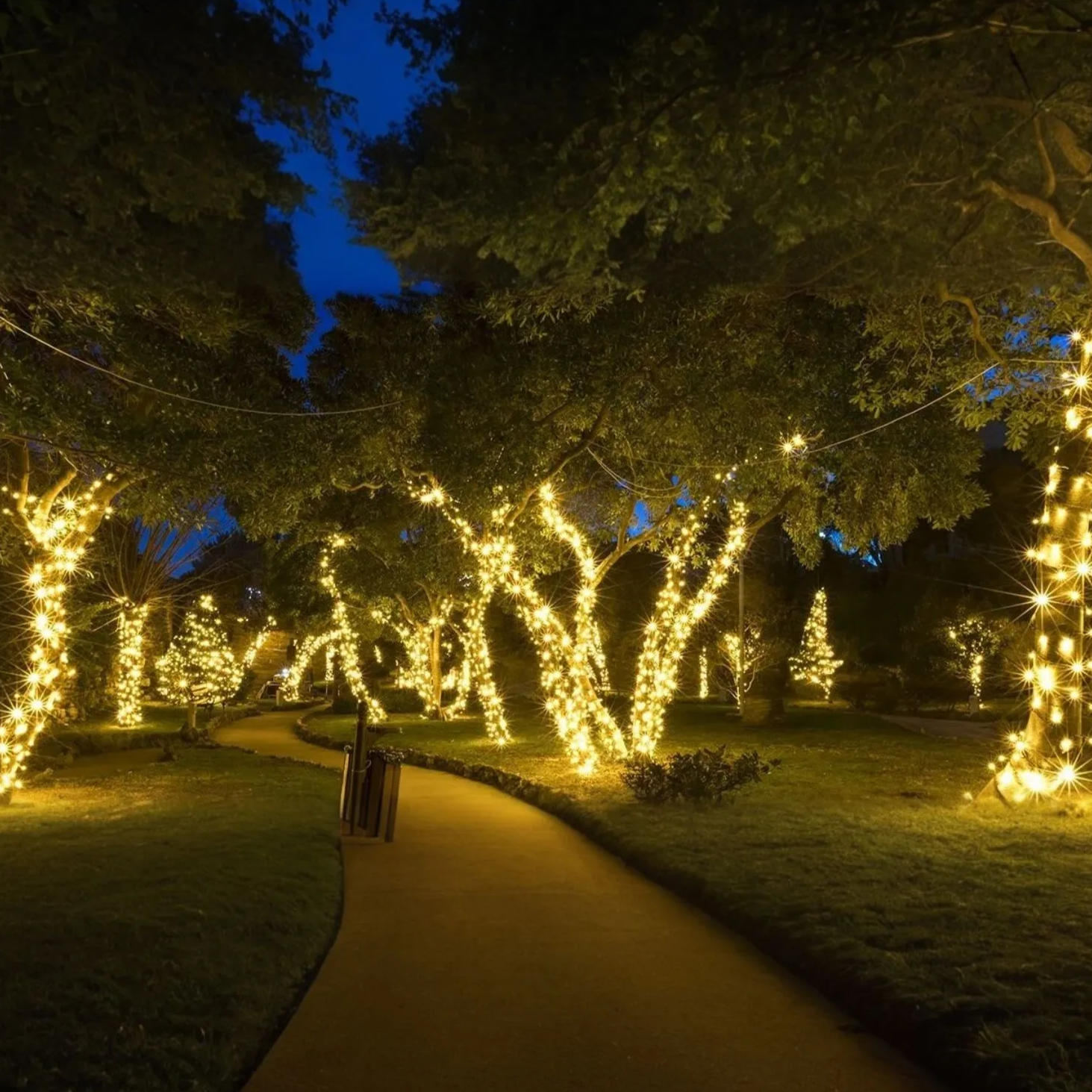 Ambient Solar Light for Outdoor Spaces