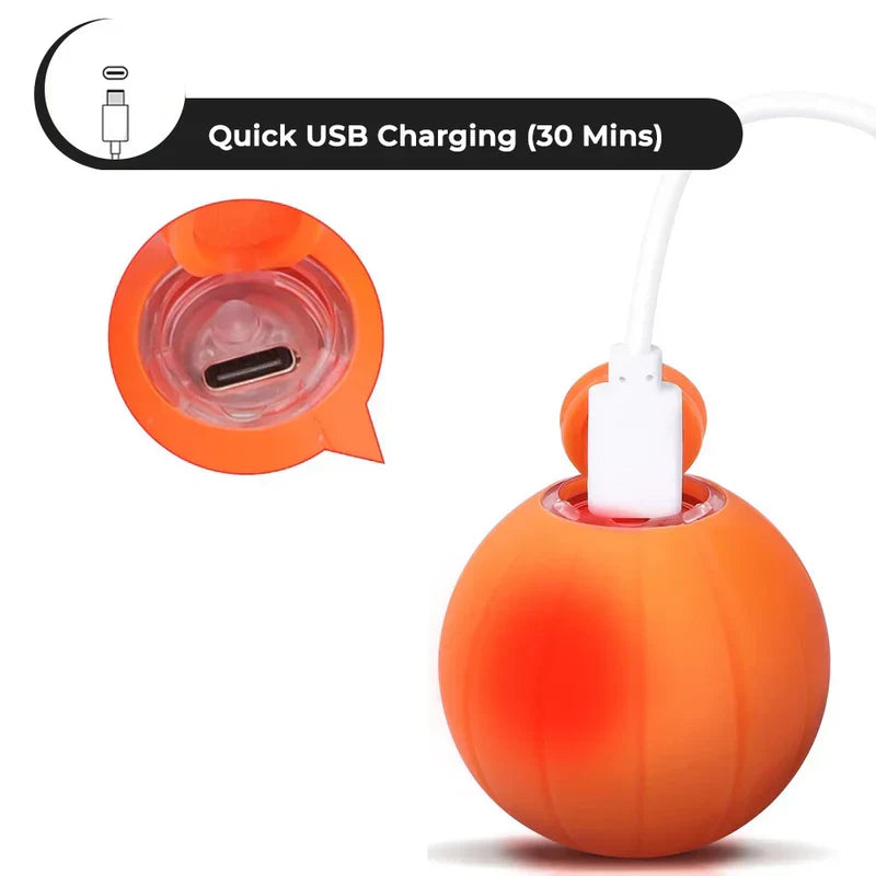 Interactive Feline Play Sphere (Limited Edition)