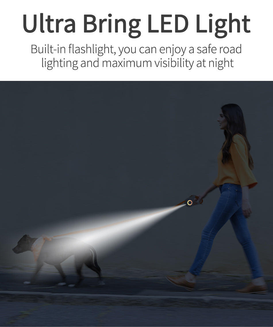 Smart Light-Up Dog Leash with Ergonomic Grip