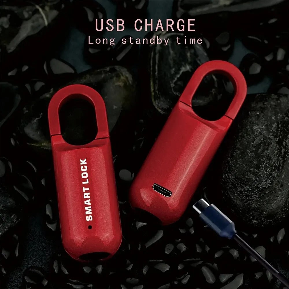 Keyless Security: Smart Fingerprint Lock