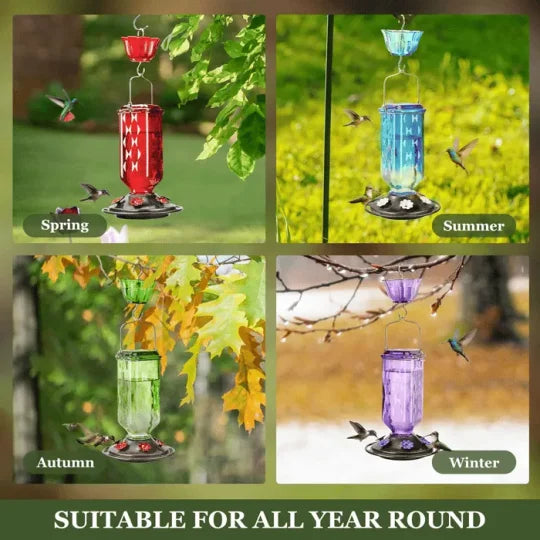 Elegant 24oz Glass Nectar Feeder for Hummingbirds