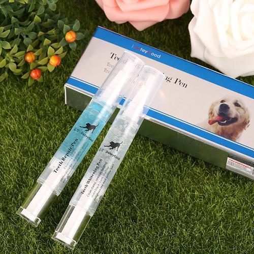 Comprehensive Dental Care for Your Pet's Health