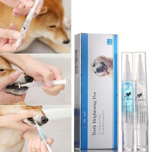 Comprehensive Dental Care for Your Pet's Health