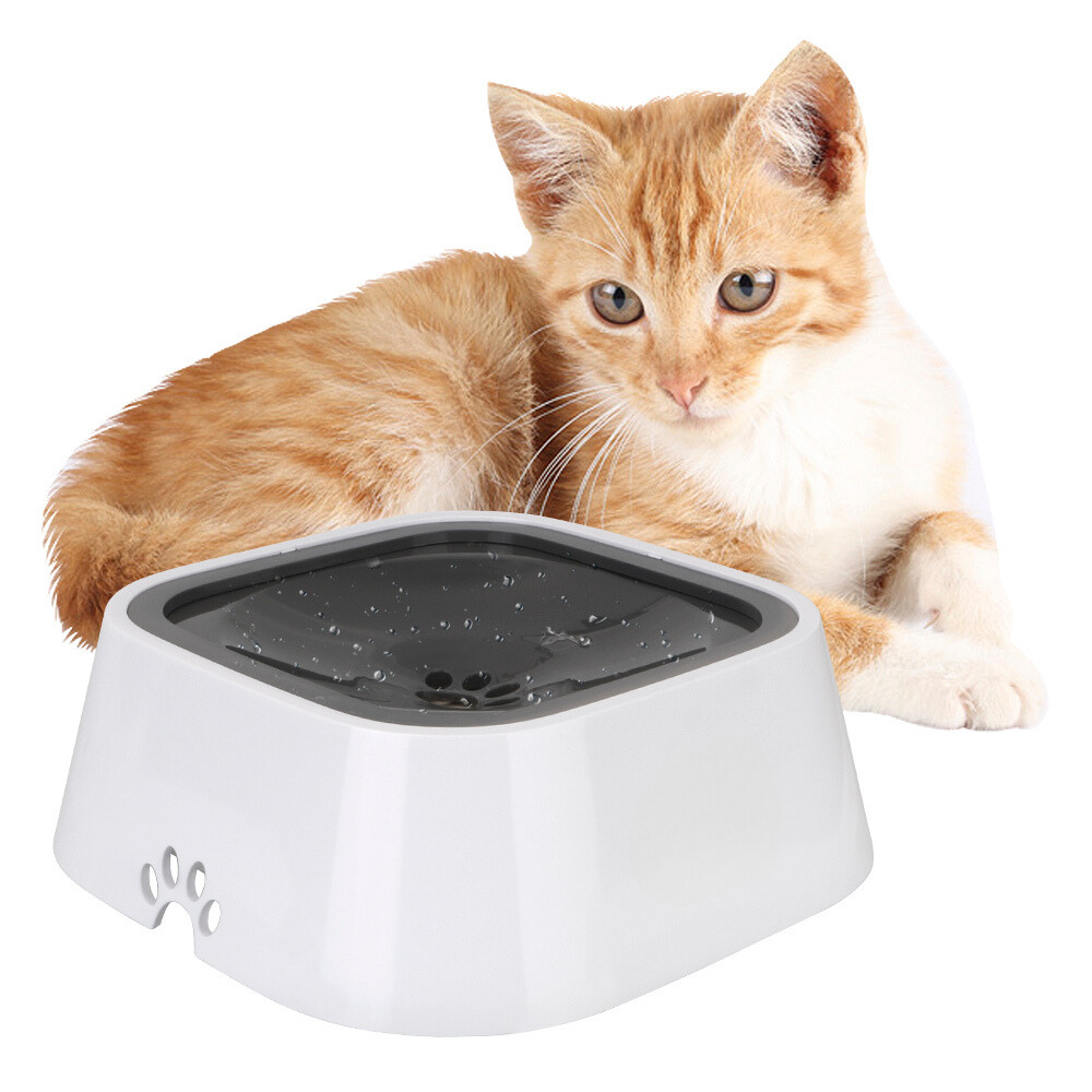 Spill-Free Large Dog Water Dispenser