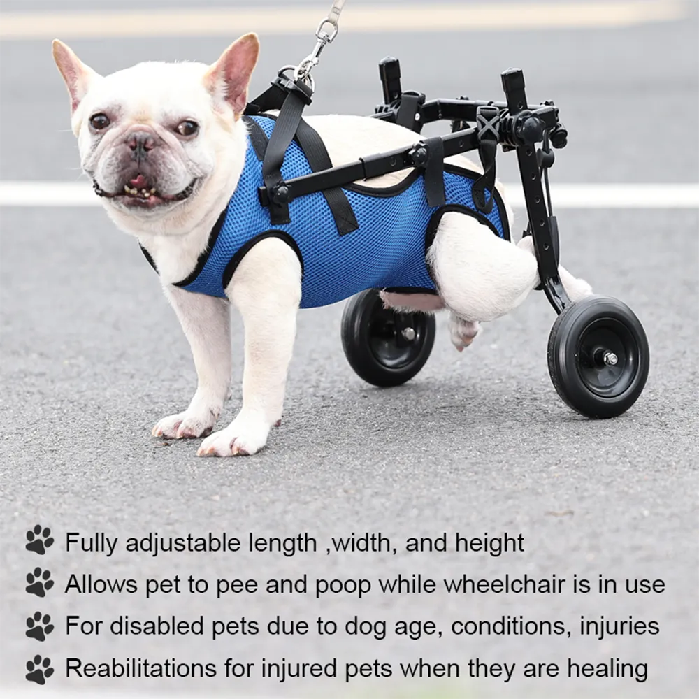 Adjustable Pet Mobility Aid for Disabled Dogs and Cats