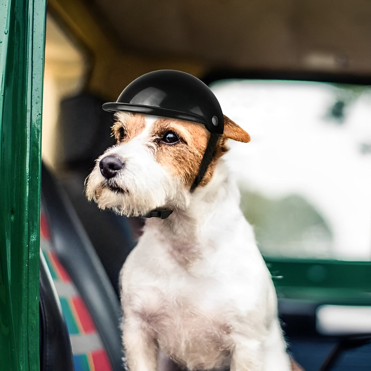 Canine Cruiser Helmet with Protective Goggles