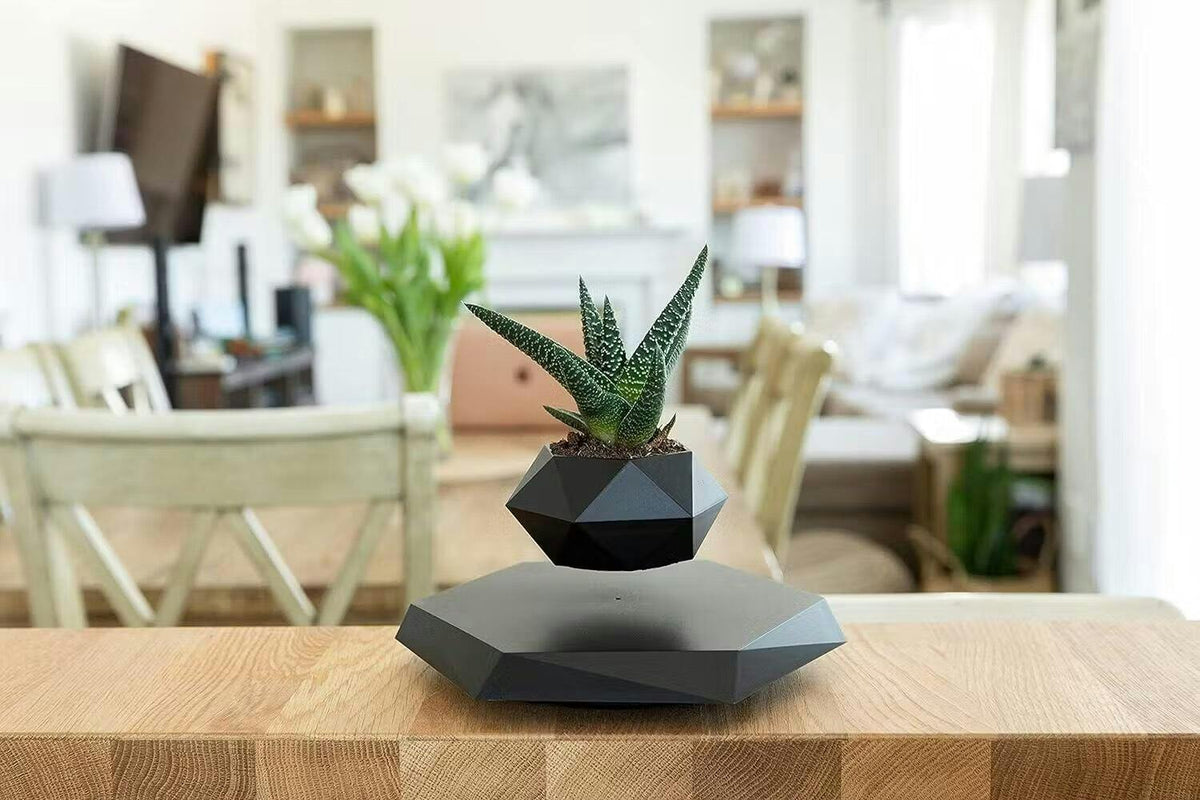 Magnetic Levitation Floating Plant Display Holder