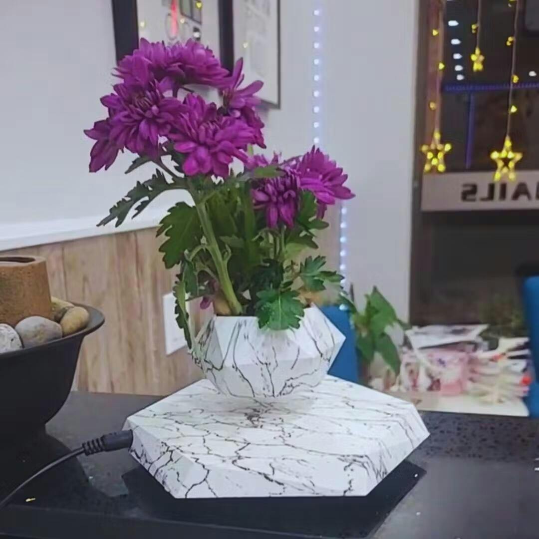 Magnetic Levitation Floating Plant Display Holder