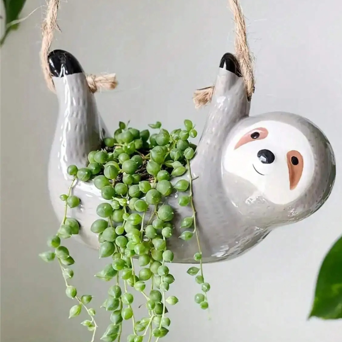 Charming Hanging Ceramic Planter for Succulents