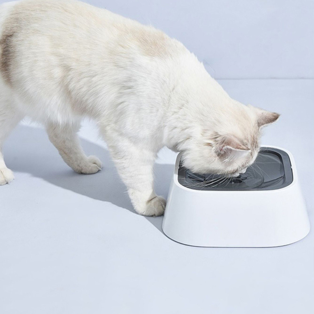 Spill-Free Large Dog Water Dispenser
