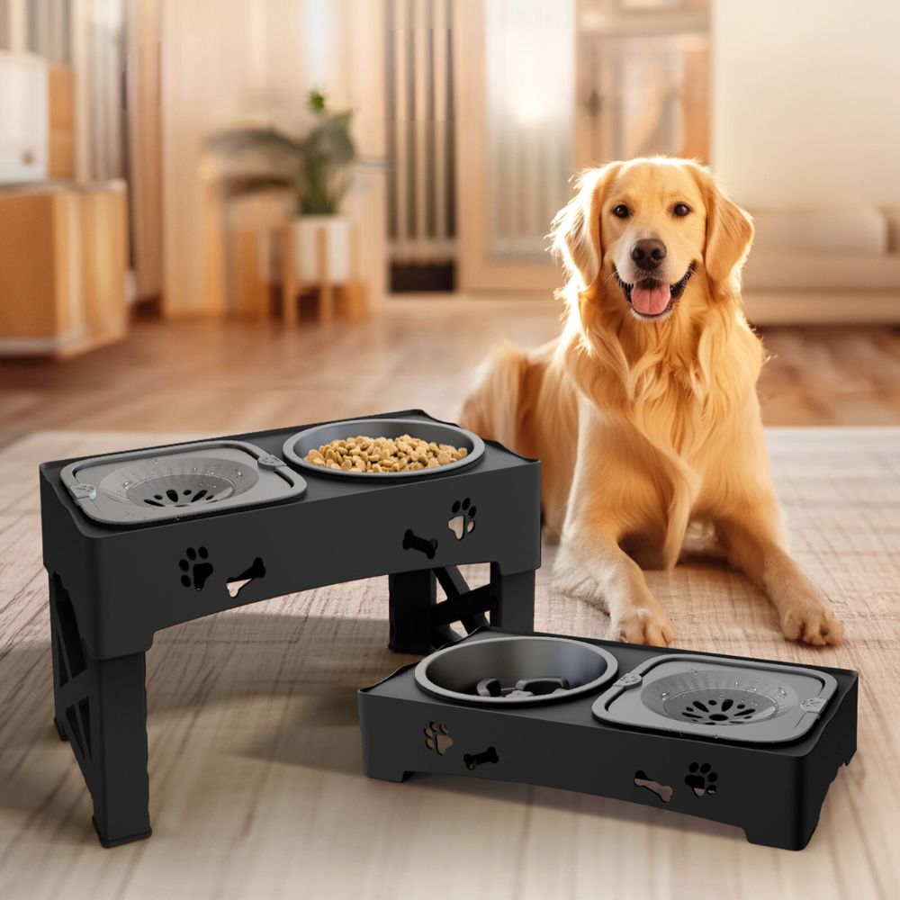 Customizable Elevated Slow Feed Dog Bowl