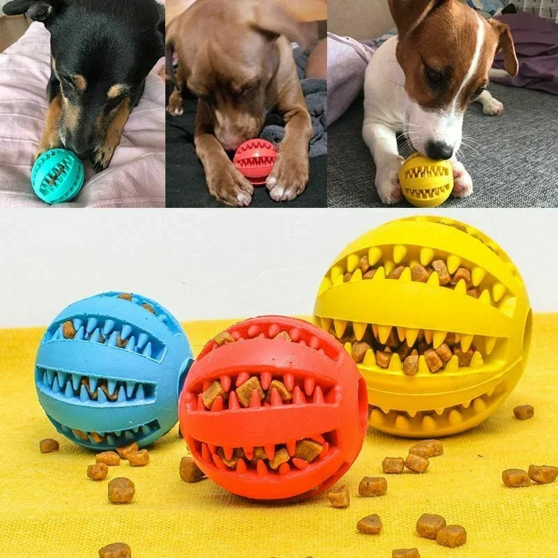Engaging Chew Ball for Playful Pets