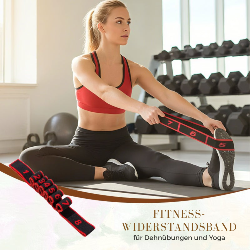 Versatile Stretch Band – 8 Levels for Personalized Fitness