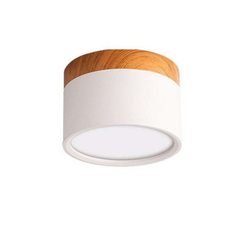 Modern LED Ceiling Light in Morandi Style