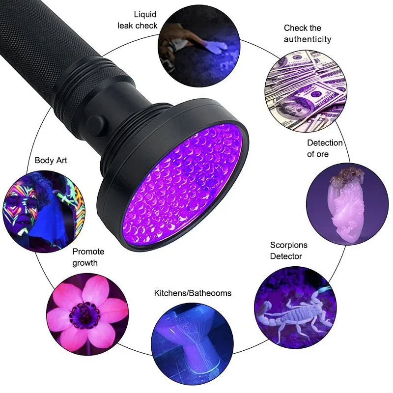 Powerful UV Light for Hidden Stain and Bug Detection