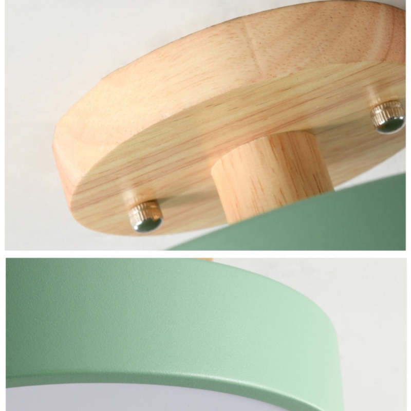 Contemporary Ceiling Light Fixture with LED Technology