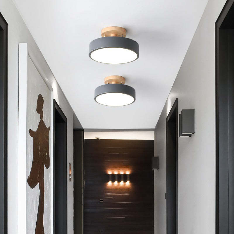 Contemporary Ceiling Light Fixture with LED Technology