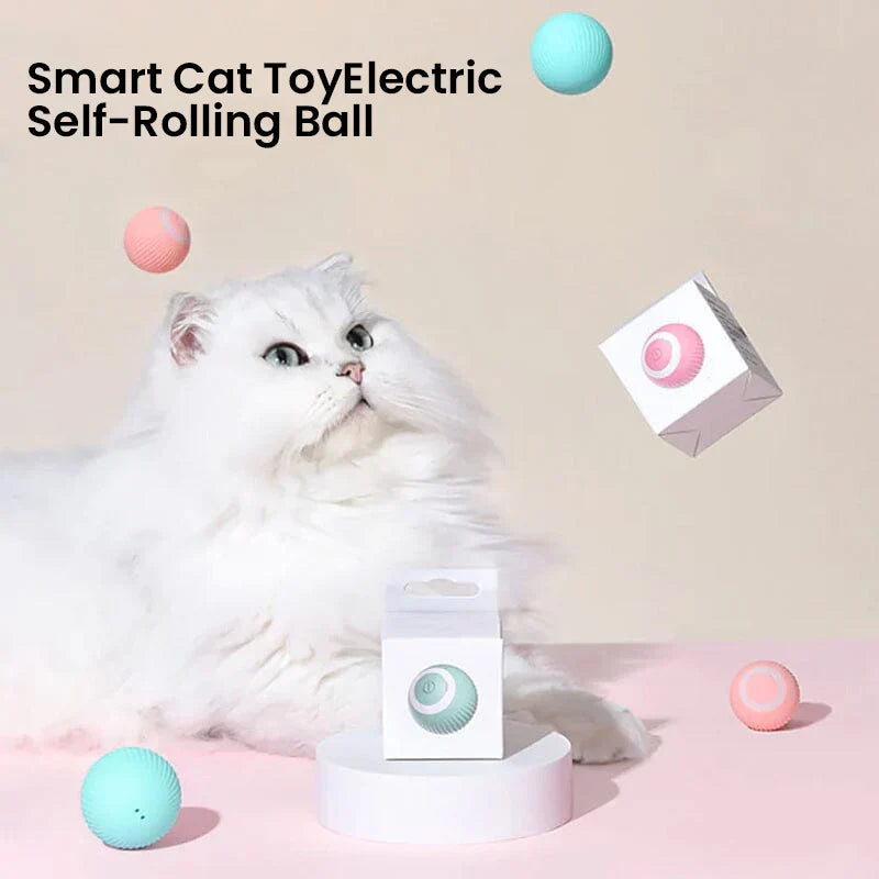 Dual-Mode Interactive Cat Play Toy